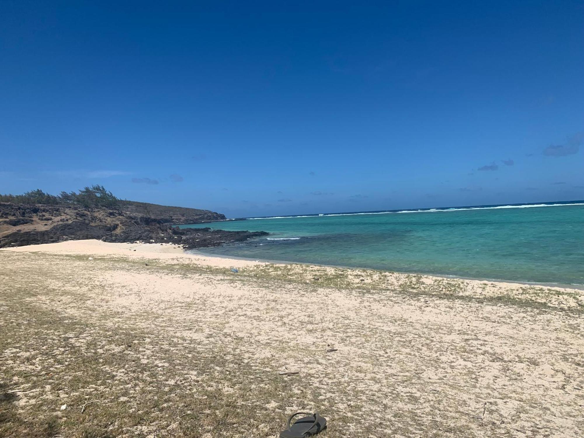 Lily Pad Lodge Bambou المظهر الخارجي الصورة