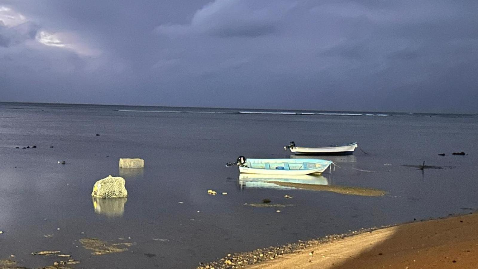 Lily Pad Lodge Bambou المظهر الخارجي الصورة